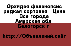 Орхидея фаленопсис редкая сортовая › Цена ­ 800 - Все города  »    . Амурская обл.,Белогорск г.